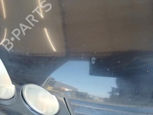 Hood VW POLO IV (9N_, 9A_) 1.4 TDI | BP28071357C1