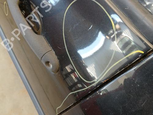 Left front door RENAULT CLIO III (BR0/1, CR0/1) 1.5 dCi (BR17, CR17) | BP29307306C2 