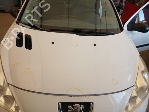 Hood PEUGEOT 206+ (2L_, 2M_) 1.4 HDi eco 70 | BP29333864C1