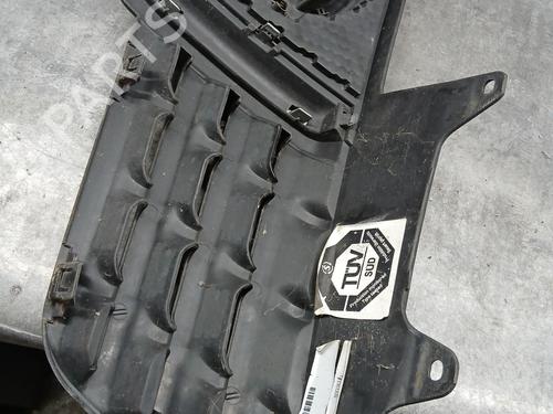 Grille NISSAN QASHQAI I (J10, NJ10) 2.0 dCi All-wheel Drive | BP29583849C40 