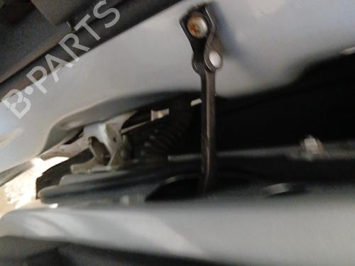 Hinge/Door check strap PEUGEOT 308 I (4A_, 4C_) 2.0 HDi | BP29725240C146 