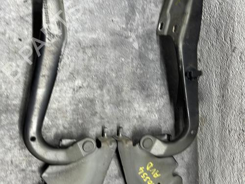 Used Hinge/Door check strap RENAULT MEGANE III Hatchback (BZ0/1_, B3_) 1.5 dCi (106 hp) 27398630