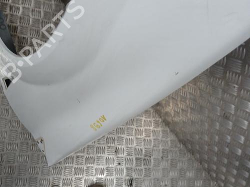Left front fenders RENAULT MEGANE II (BM0/1_, CM0/1_) 1.6 16V (BM0C, CM0C) | BP28126734C41 