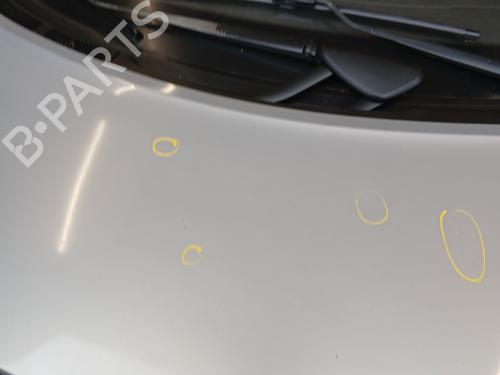 Motorhjelm RENAULT SCÉNIC II (JM0/1_) 1.9 dCi (JM0G, JM12, JM1G, JM2C) | BP29844753C1