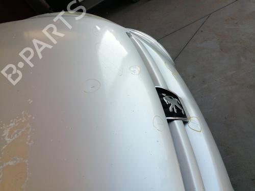 Hood PEUGEOT 307 (3A/C) 2.0 HDi 135 | BP27697330C1 