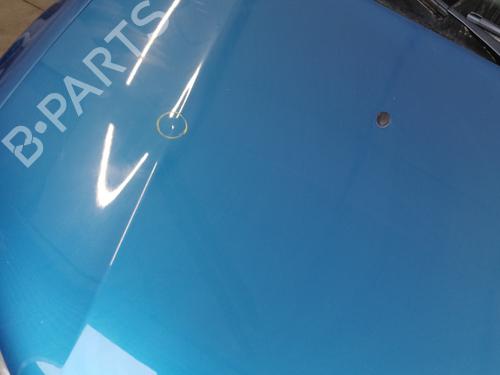 Hood DACIA SANDERO II 1.5 dCi | BP29736164C1 