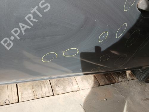 Left front door NISSAN MICRA III (K12) 1.5 dCi | BP29359184C2 
