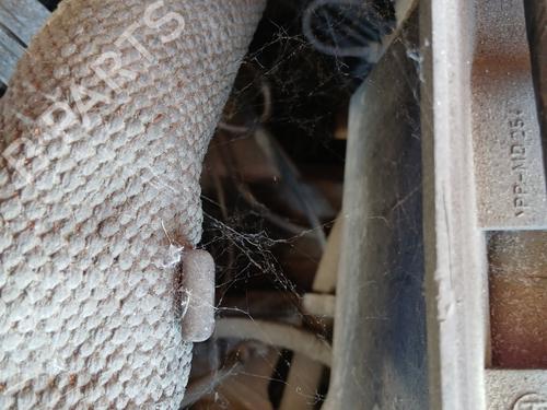 Gearbox RENAULT TWINGO I (C06_) 1.2 (C066, C068) | BP28451091M3