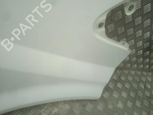 Left front fenders FORD TRANSIT Van (FA_ _) 2.0 DI (FAE_, FAF_, FAG_) | BP22301600C41 