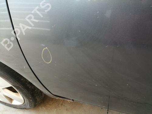 Left front door NISSAN MICRA III (K12) 1.2 16V | BP26887761C2