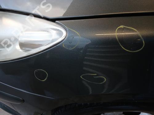 Left front fenders PEUGEOT 307 CC (3B) 2.0 HDi 135 | BP29844866C41