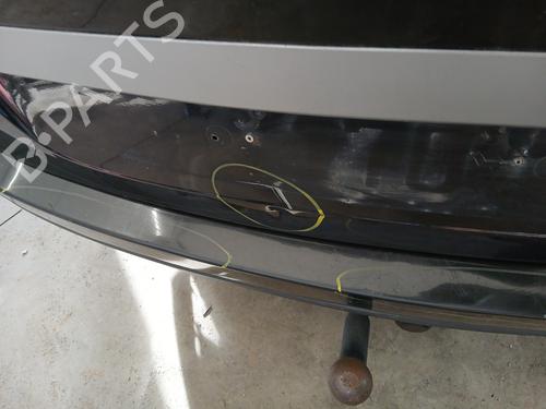 Tailgate RENAULT GRAND SCÉNIC III (JZ0/1_) 1.9 dCi (JZ0J, JZ0N, JZ1K, JZ1S) | BP30144700C6 