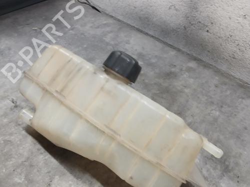 Used Expansion tank Expansion tank RENAULT CLIO III (BR0/1, CR0/1) [2005-2014] 36010780 36010780