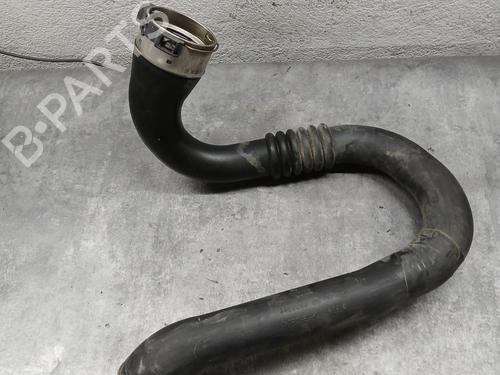 Used Pipe RENAULT SCÉNIC III (JZ0/1_) 1.2 TCe (116 hp) 29560766