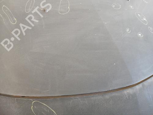 Hood RENAULT CLIO III (BR0/1, CR0/1) 1.5 dCi (BR17, CR17) | BP29307295C1 