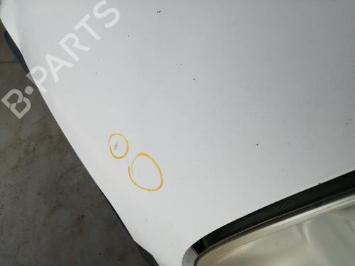 Hood FIAT DOBLO Cargo (263_) 1.6 D Multijet (263WXD1B, 263WXR1B, 263WXX1B, 263ZXD1B,... 51810378