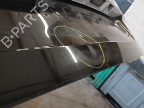 Tailgate RENAULT GRAND SCÉNIC III (JZ0/1_) 1.9 dCi (JZ0J, JZ0N, JZ1K, JZ1S) | BP30144700C6 