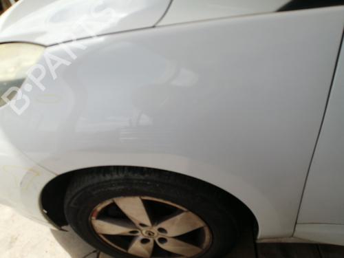 Left front fenders RENAULT SCÉNIC III (JZ0/1_) 1.9 dCi (JZ0J, JZ1J, JZ1K, JZ1S) | BP25741160C41 