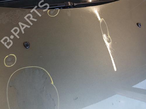 Hood PEUGEOT 307 CC (3B) 2.0 HDi 135 | BP29844868C1