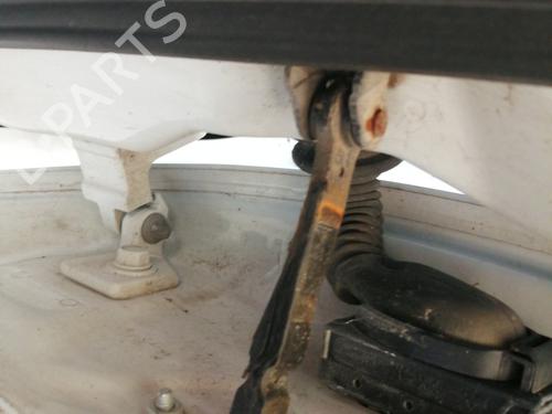 Hinge/Door check strap OPEL CORSA D (S07) 1.2 LPG (L08, L68) | BP26430373C146 