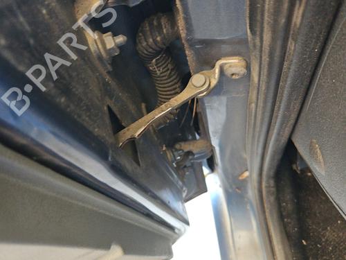 hingedoor-check-strap-dacia-logan-mcv-ks_-2007-34357974 main image