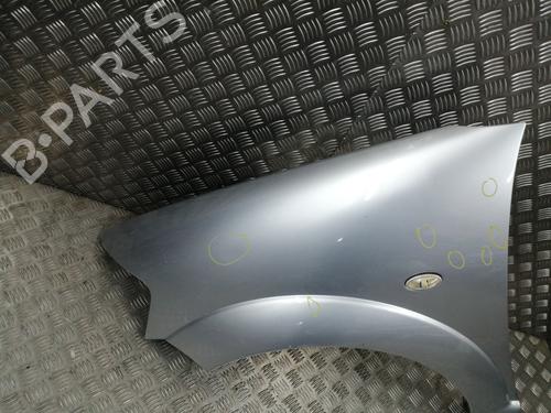 Left front fenders CITROËN C3 I (FC_, FN_) 1.4 i | BP27705767C41 