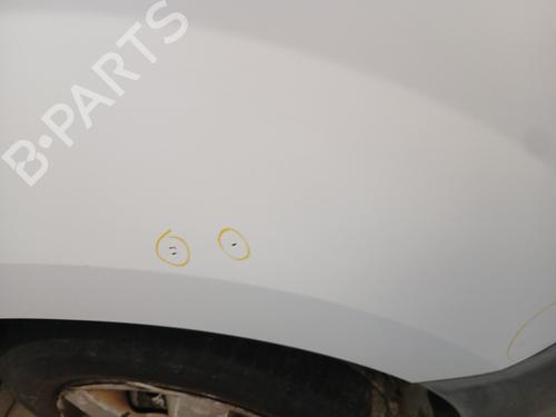 Right front fenders RENAULT KANGOO / GRAND KANGOO II (KW0/1_) 1.5 dCi 90 (KW05, KW08, KW0G, KW11) | BP29973674C42