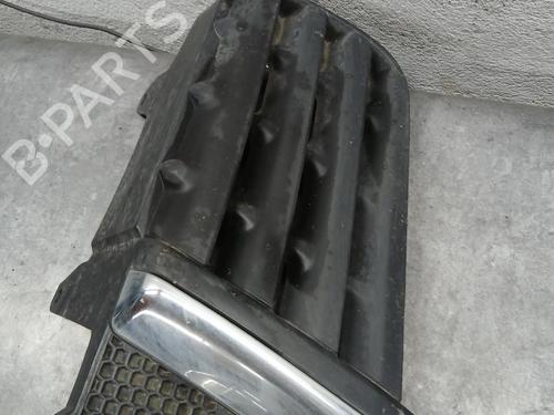 Grille NISSAN QASHQAI I (J10, NJ10) 2.0 dCi All-wheel Drive | BP29583849C40 