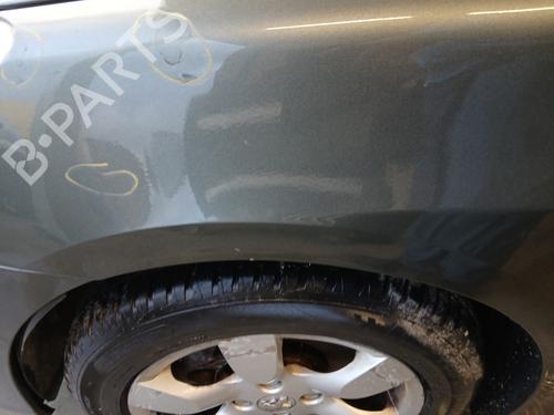 Left front fenders PEUGEOT 307 CC (3B) 2.0 HDi 135 | BP29844866C41