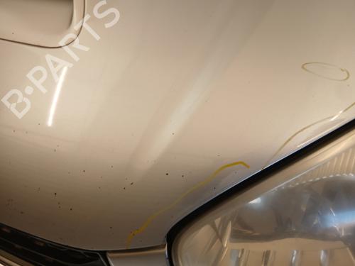 Hood TOYOTA RAV 4 II (_A2_) 2.0 D 4WD (CLA20_, CLA21_, CLA20R, CLA21R) | BP30109396C1