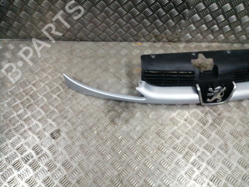 Grille PEUGEOT 206 Hatchback (2A/C) 2.0 HDI 90 | BP24175331C40 