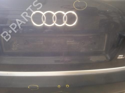 Tailgate AUDI A4 B7 (8EC) 2.0 TDI 16V | BP22549428C6 