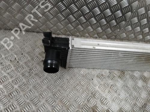 Intercooler RENAULT MASTER III Van (FV) 2.3 dCi 145 FWD (FV0E, FV0F, FV0H, FV02, FV0M, FV0S,... (146 hp) 31018225