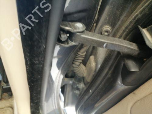 Hinge/Door check strap BMW 3 (E46) 320 d | BP26240422C146 