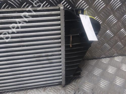 Intercooler MERCEDES-BENZ M-CLASS (W163) ML 270 CDI (163.113) | BP20886782M30 