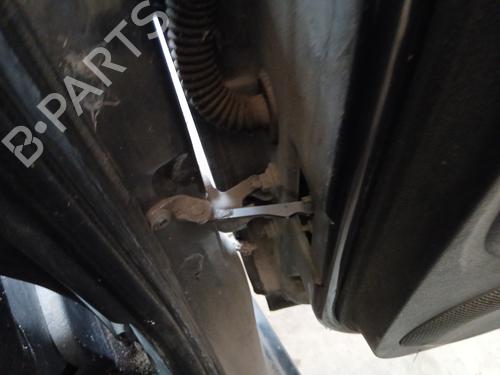 hingedoor-check-strap-dacia-sandero-2008-32864404 main image