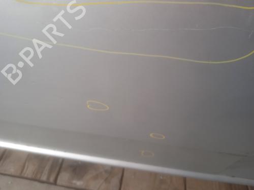 Left front door FIAT GRANDE PUNTO (199_) 1.3 D Multijet | BP24116429C2