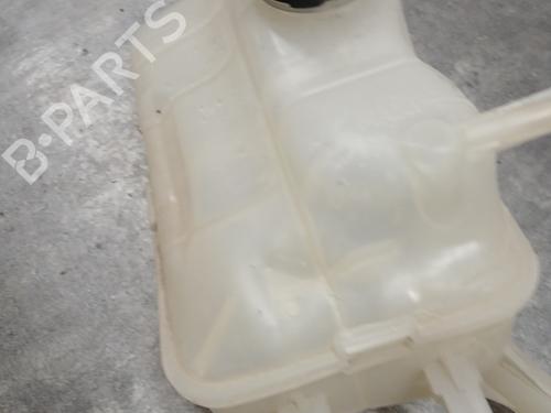 Expansion tank RENAULT SCÉNIC III (JZ0/1_) 1.2 TCe | BP29564831C120 