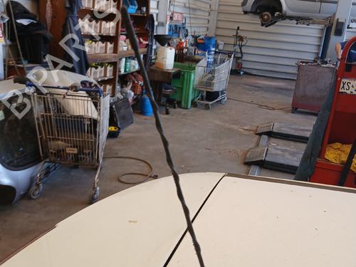 Antenne/Base Antenne/Base 37165589 37165589