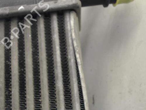 Used Intercooler FIAT PANDA (169_) 1.3 D Multijet (169.AXC1A) (70 hp) 20887135