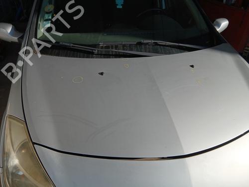 Hood RENAULT CLIO III (BR0/1, CR0/1) 1.4 16V | BP29240814C1 