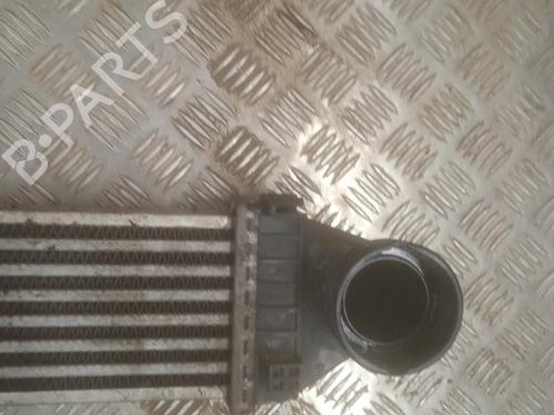 Intercooler MERCEDES-BENZ A-CLASS (W169) A 180 CDI (169.007, 169.307) | BP23793952M30 