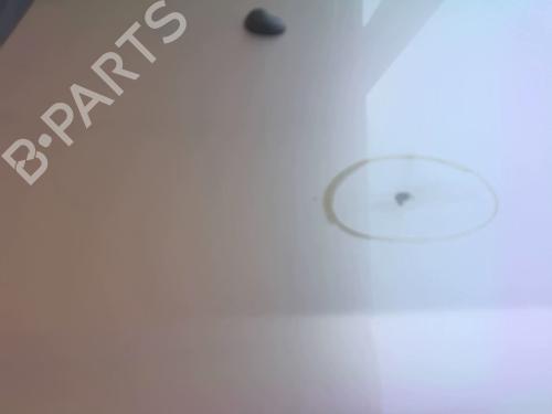 Hood NISSAN X-TRAIL I (T30) 2.2 Di 4x4 | BP28094008C1 
