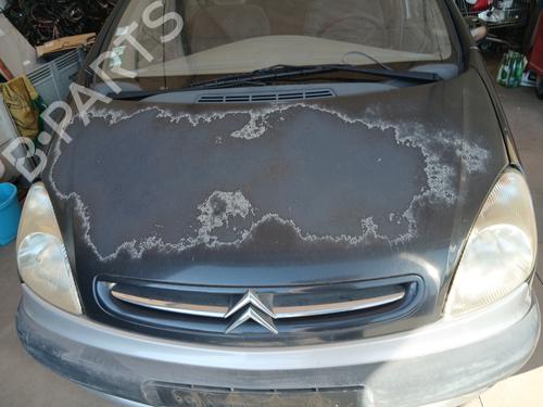 Used Hood CITROËN XSARA PICASSO (N68) 2.0 HDi (90 hp) 29252003