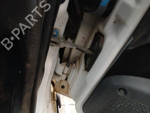 Hinge/Door check strap FIAT STRADA Pickup (178_, 278_) 1.3 D Multijet (278AYR1A) | BP29712013C146 