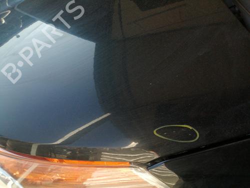 Hood CITROËN C3 Picasso (SH_) 1.6 HDi 00007901Q7