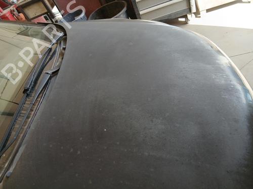 Hood OPEL CORSA D (S07) 1.2 LPG (L08, L68) | BP29284130C1 
