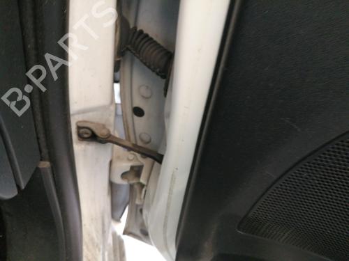 hingedoor-check-strap-citroen-c3-ii-sc_-2009-27156683 main image