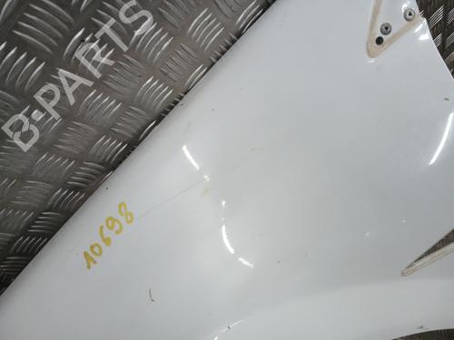 Used Left front fenders RENAULT MEGANE II (BM0/1_, CM0/1_) 1.6 16V (BM0C, CM0C) (113 hp) 28126734