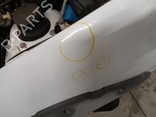 Left front fenders FIAT STRADA Pickup (178_, 278_) 1.3 D Multijet (278AYR1A) | BP29712001C41 